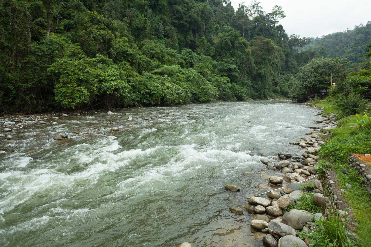 Indra Valley Inn Bukit Lawang Zewnętrze zdjęcie