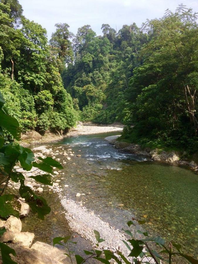 Indra Valley Inn Bukit Lawang Zewnętrze zdjęcie
